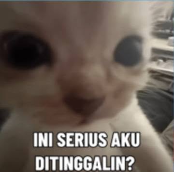 Meme viral terkini