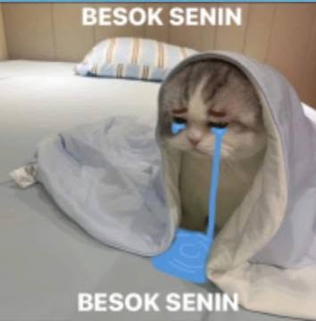 Meme viral terkini