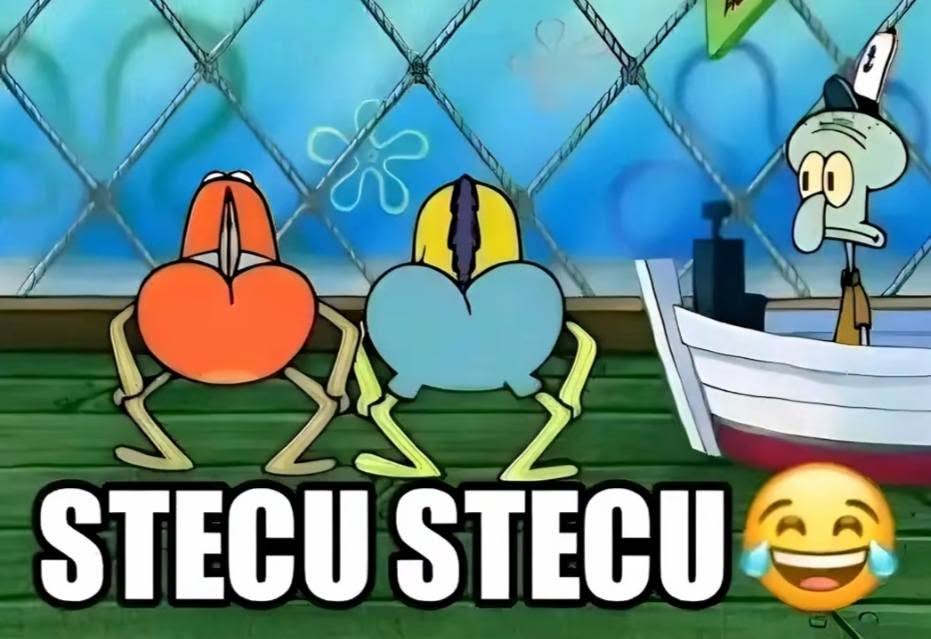 Stecu-Stecu